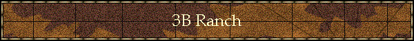 3B Ranch